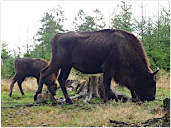 2020.02.23 Familiengruppe Bild 2