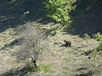 2018.05.30 Griechenland Bild 6